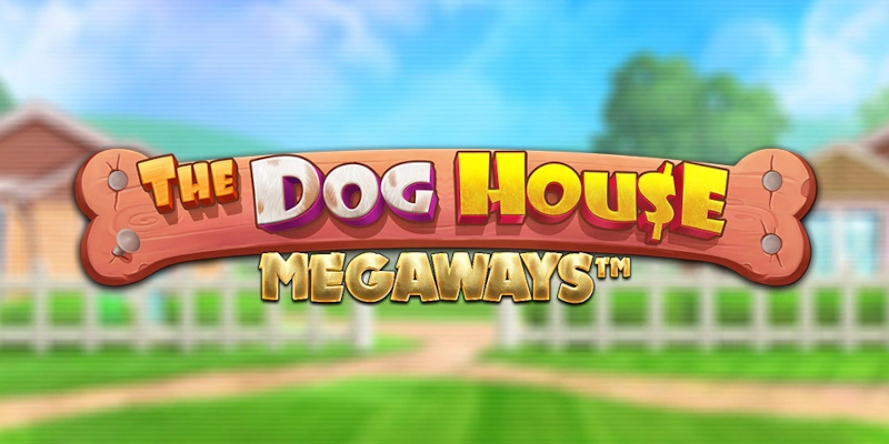 the dog house megaways achtergrond