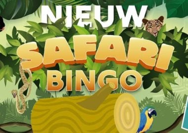 safari bingo