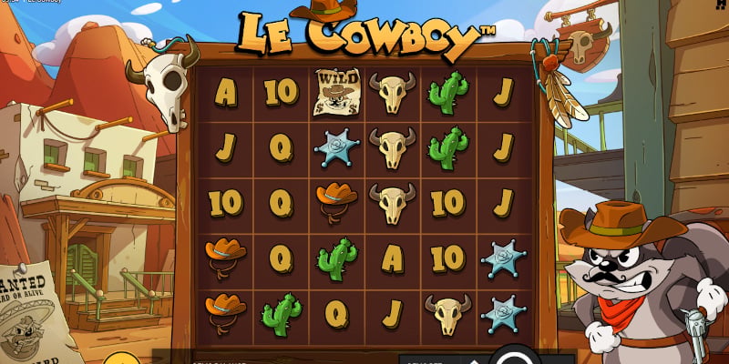 le cowboy achtergrond