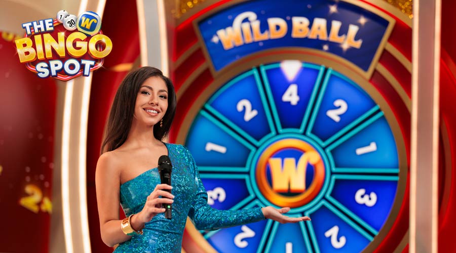 the bingo spot review