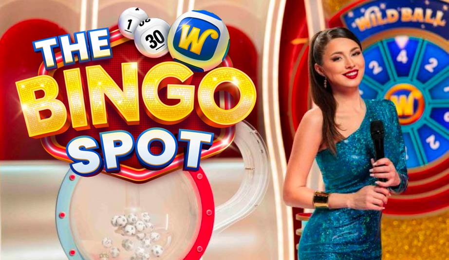 the bingo spot
