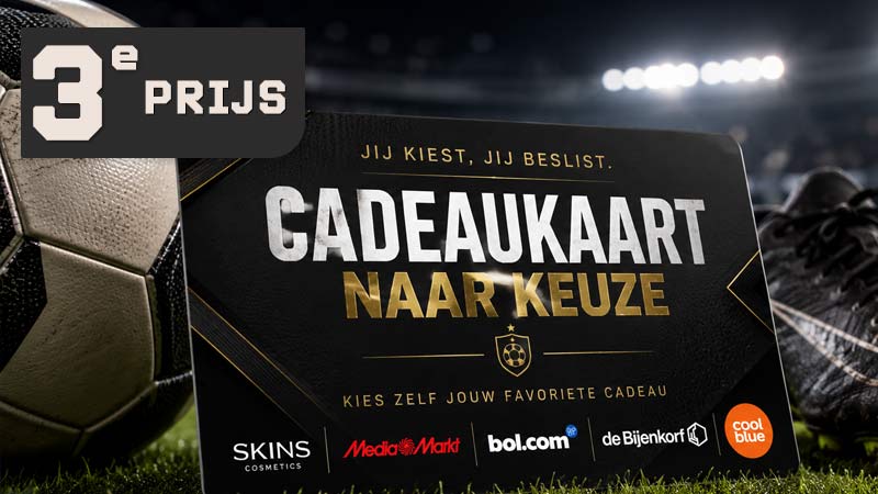 3e-prijs