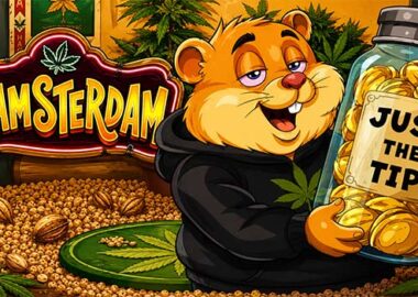 hamsterdam slot