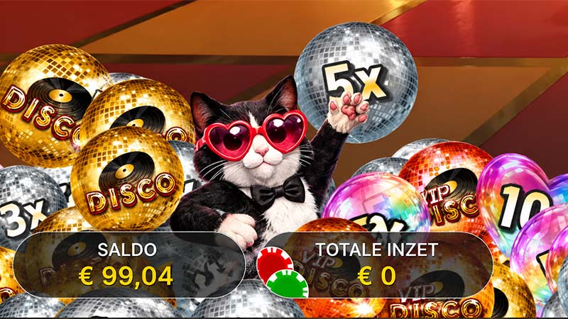 disco cat multipliers
